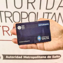 La semana que viene inicia la renovaci&oacute;n del Pase Libre para ingresantes universitarios