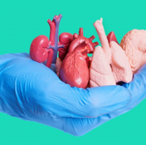 El año inició con 307 personas que esperan trasplante de órganos o tejidos en Salta