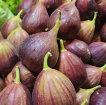 &iexcl;Atenci&oacute;n salte&ntilde;os! se mantienen los precios de frutas y verduras en el mercado San Miguel
