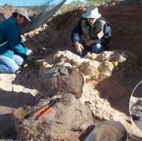 ¡Hallazgo histórico! Científicos del Conicet descubrieron un dinosaurio gigante en Neuquén