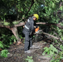 La Municipalidad intervino en 20 incidentes ocasionados por la tormenta