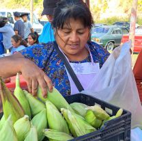 Este domingo, Chicoana vive el XIII Encuentro de Bandoneones y Copleros