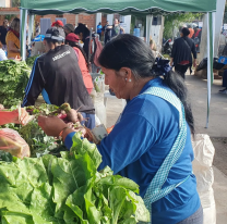 Hoy "El Mercado en tu barrio" llega a Miguel Ortiz con ofertas y servicios gratuitos