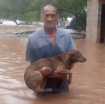 "No me voy sin mi perro": el acto de amor en medio del temporal que emocion&oacute; a toda Salta