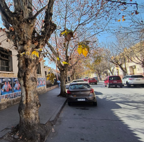 Se habilitarán nuevas calles durante los fines de semana para poder estacionar
