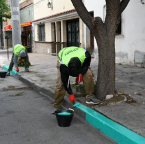 Se habilitaron nuevos "Espacios verdes" para estacionar de forma gratuita en la ciudad