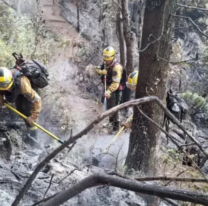 Continúa la intensa labor de los brigadistas forestales salteños en el Parque Nacional Los Alerces