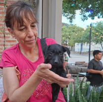 En el Día de los Enamorados fueron adoptados seis cachorros