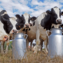 23 de Febrero: D&iacute;a Nacional del Tambero