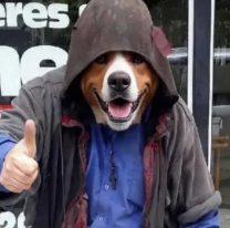 El protector de animales Abdul Onur se hizo "Therian" para poder ayudar a los perros de la calle