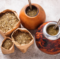 Científicos del Conicet muestran cómo se puede transformar yerba mate usada en biocombustible y bioplásticos