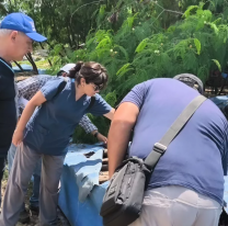 Salta y Tarija coordinan un operativo binacional ante el brote de Chikungunya