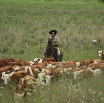 Día Mundial del Campo, un llamado a valorar el medio rural y cuidar nuestra tierra