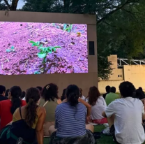 Cine en la Usina: Suerte de pinos y La noche sin mí en la próxima fecha de "Los Martes por mujeres"