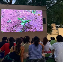 Cine en la Usina: Suerte de pinos y La noche sin m&iacute; en la pr&oacute;xima fecha de "Los Martes por mujeres"