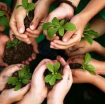 Guardianas de la naturaleza: diálogo sobre ecofeminismo en el Museo de Antropología de Salta
