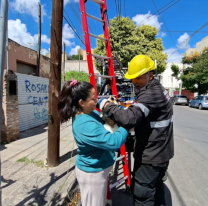 Rescataron una gatita que estaba atrapada en un poste
