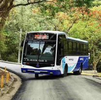 Así funcionará el servicio de colectivos para mañana jueves 30 y viernes 1 de mayo
