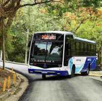 &iexcl;Atenci&oacute;n salte&ntilde;os! As&iacute; ser&aacute; el servicio de colectivos para hoy jueves 30 y ma&ntilde;ana viernes 1 de mayo