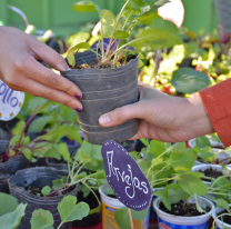 Este s&aacute;bado habr&aacute; una nueva jornada de Ecocanje en los Parques Urbanos