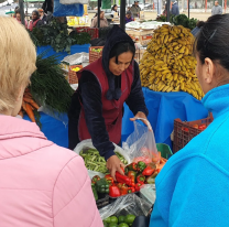 "El Mercado en tu barrio" llega al Delmi con precios imperdibles y servicios municipales