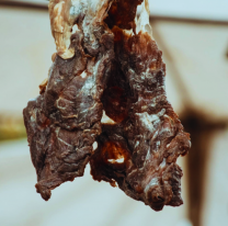 Charqui: un superalimento ancestral de nuestra tierra